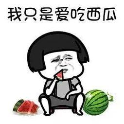 吃瓜娱乐的作品叫什么,揭秘热门吃瓜娱乐作品的幕后故事  第1张